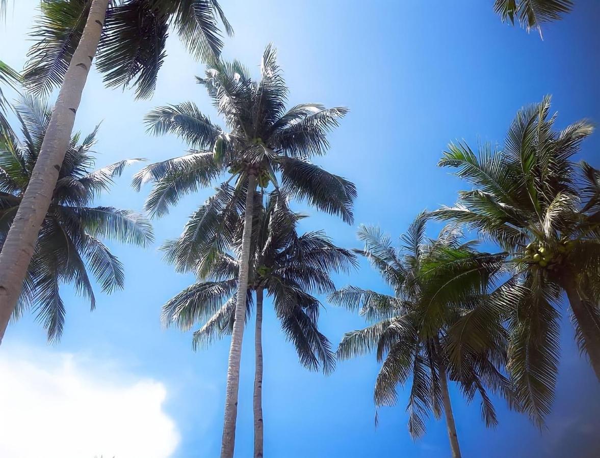 Siargao Sunflower Suites General Luna  Zewnętrze zdjęcie