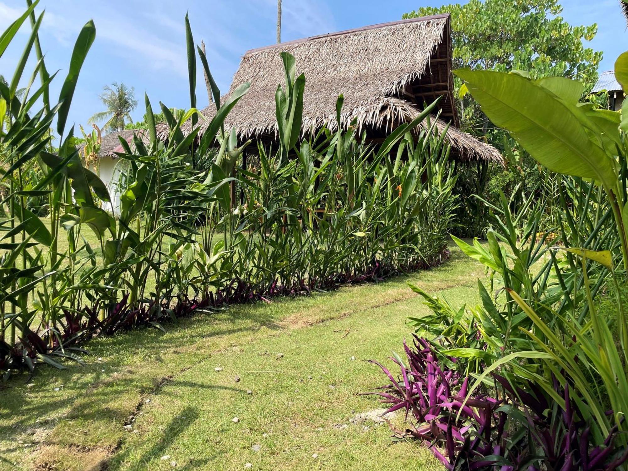 Siargao Sunflower Suites General Luna  Zewnętrze zdjęcie